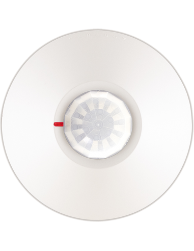 PARADOX DG467